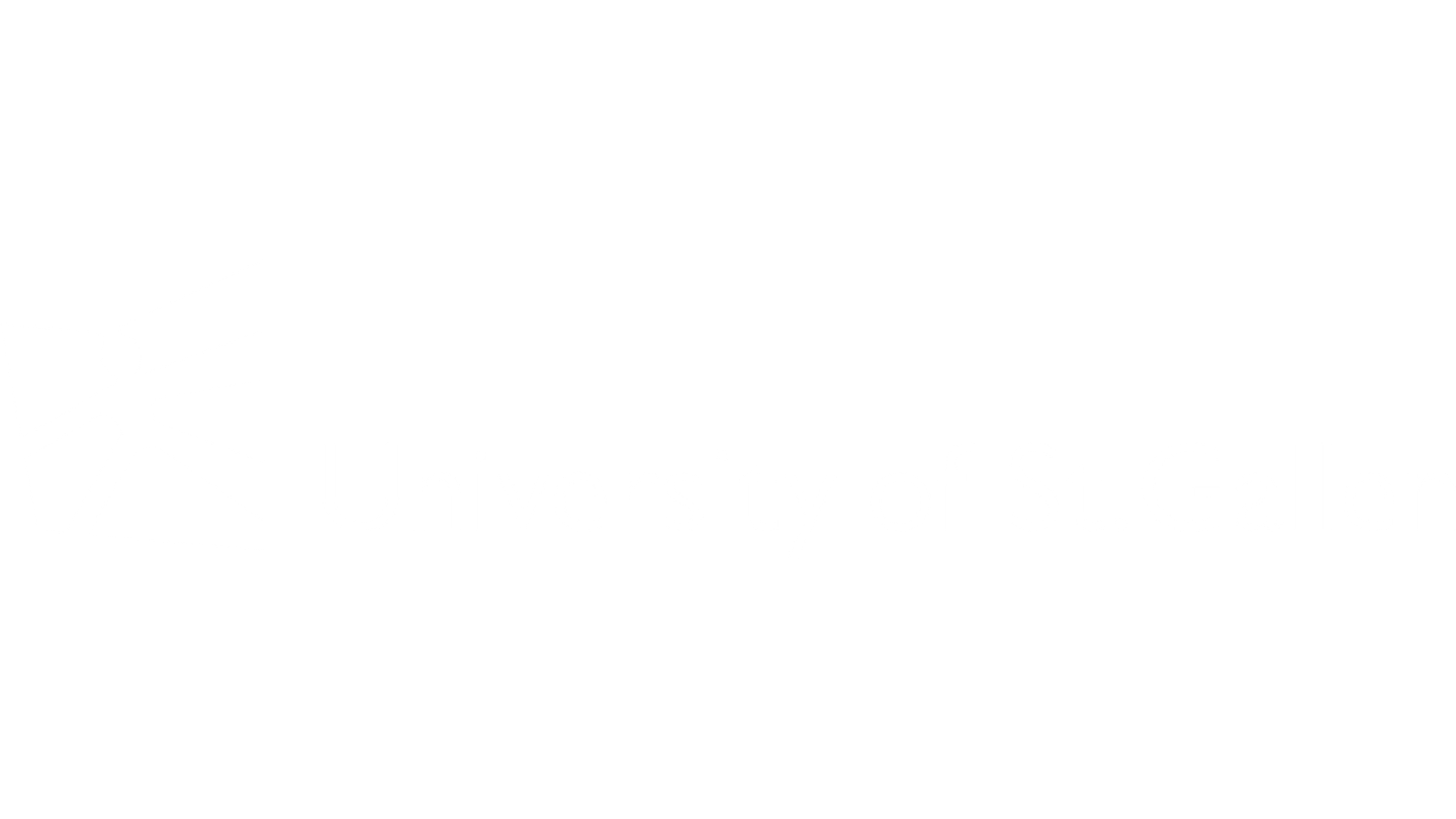 University of St. Gallen