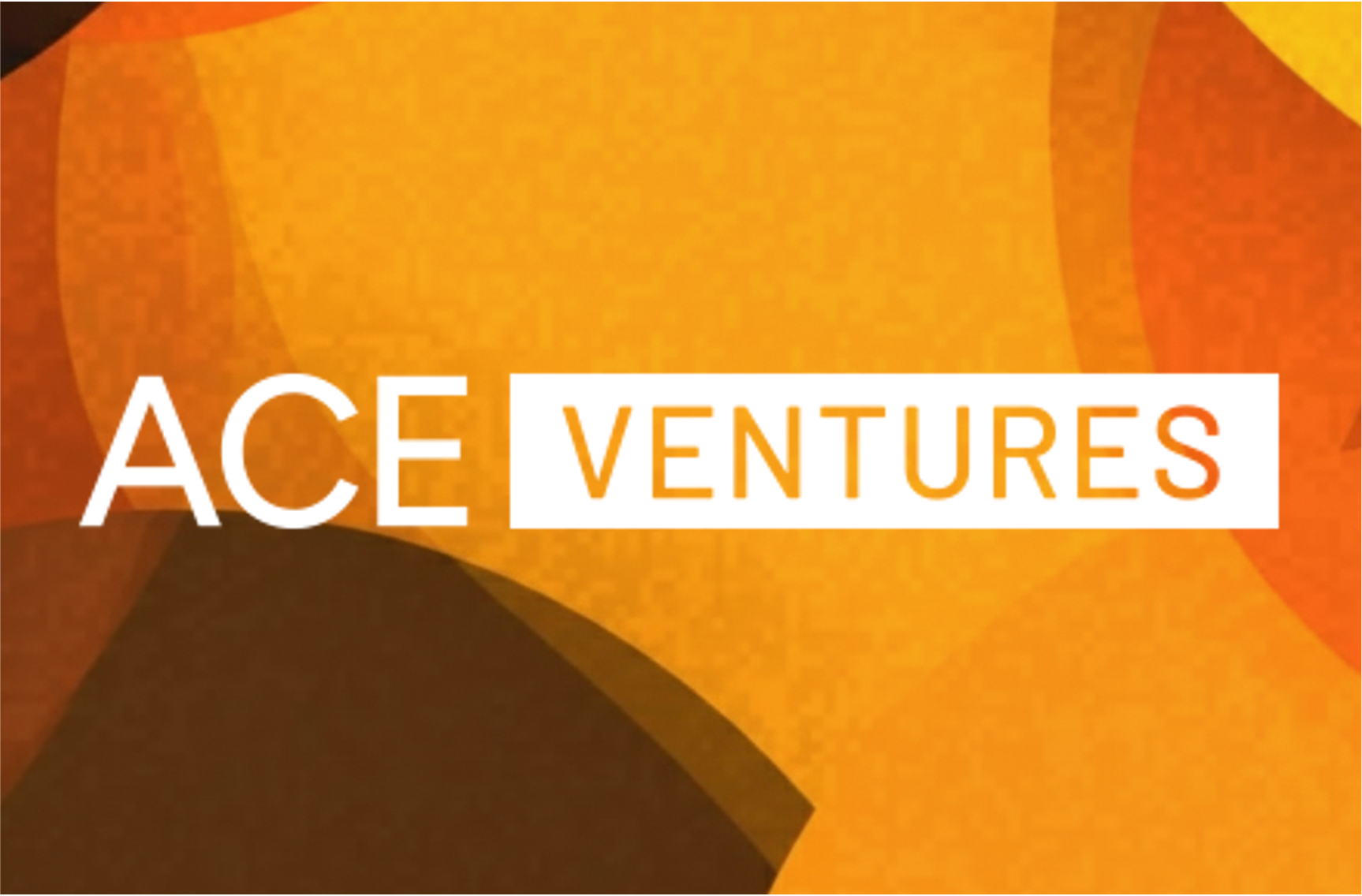 ACE Ventures: At Face Value