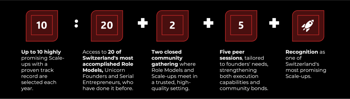 Project Switzerland Process