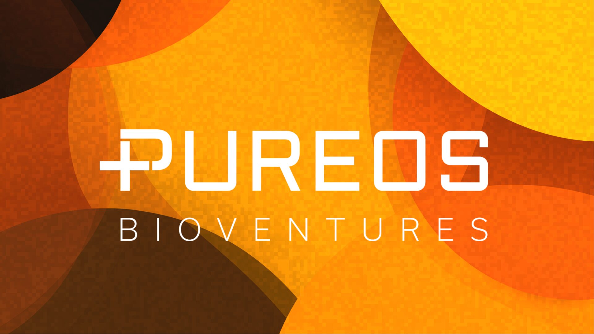 Pureos: At Face Value